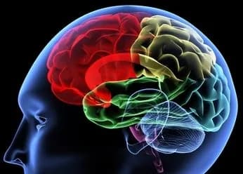 La complexité dans les organisations vue par Winston Churchill
