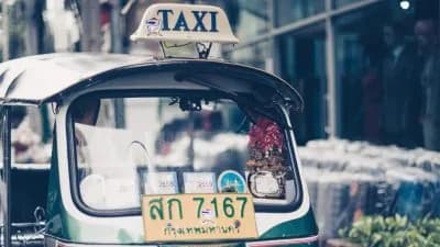 Comment la culture d’un pays influence l’organisation du transport ?