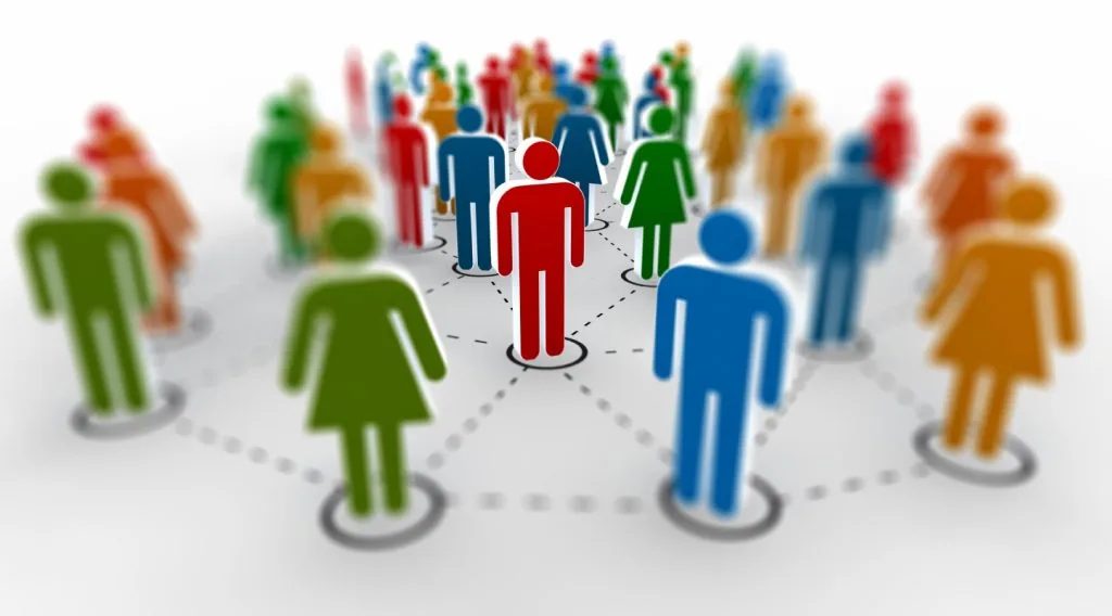 Management transversal
