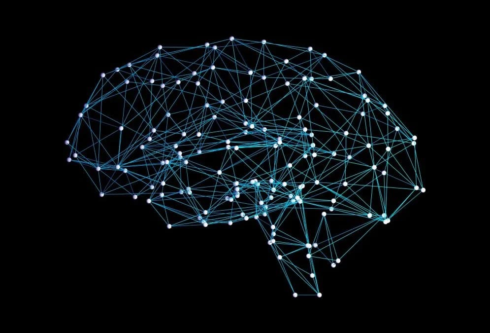 La programmation neurolinguistique pour les managers